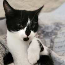 Thumbnail photo of Belle #3