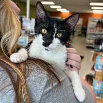 Thumbnail photo of Finn #1