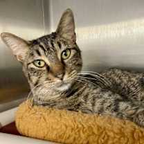 Thumbnail photo of Jalen #1