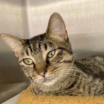 Thumbnail photo of Jalen #2