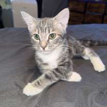 Thumbnail photo of Mila #1