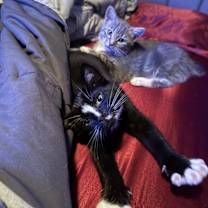 Thumbnail photo of Mila #3