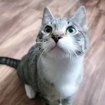 Thumbnail photo of Sprout #1