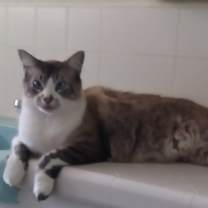 Thumbnail photo of Wyatt #2