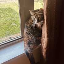 Thumbnail photo of Astride #4