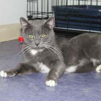 Thumbnail photo of Lucas #1