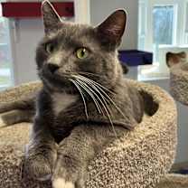 Thumbnail photo of Lucas #4