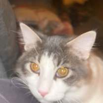 Thumbnail photo of Baby boy #1