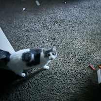 Thumbnail photo of Baby boy #3