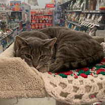 Thumbnail photo of Vita #3