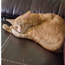 Thumbnail photo of Keani #2