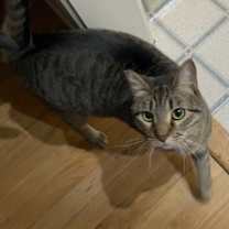 Thumbnail photo of Emmy #2