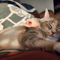 Thumbnail photo of Sweetie #3