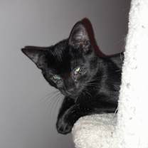 Thumbnail photo of Wednesday #1