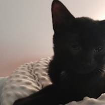 Thumbnail photo of Wednesday #2