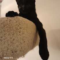 Thumbnail photo of Wednesday #3