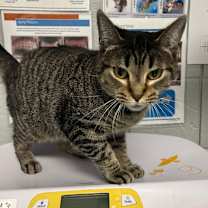 Thumbnail photo of Hilda #2