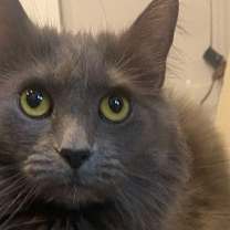 Thumbnail photo of Rachel #2