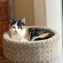 Thumbnail photo of Smores #2