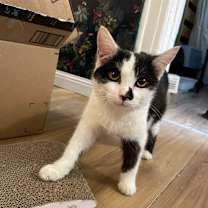 Thumbnail photo of Dylan #4