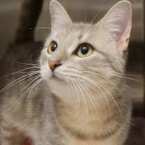 Thumbnail photo of Whiskerfields #1