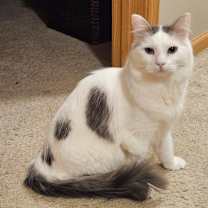 Thumbnail photo of Julian #1