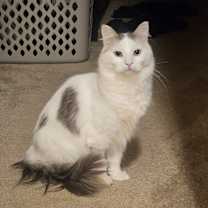 Thumbnail photo of Julian #3