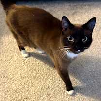 Thumbnail photo of Sydney #2