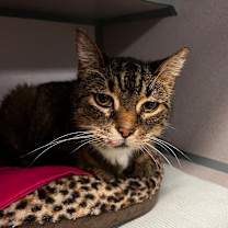 Thumbnail photo of Oliver #1