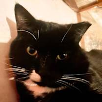 Thumbnail photo of Jerome #1