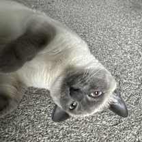 Thumbnail photo of Kiki #3