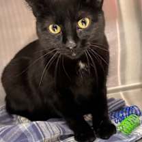 Thumbnail photo of Pepper Bonded with Sylvia #1