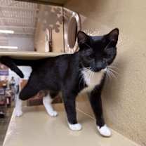 Thumbnail photo of Evonie #3