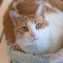 Thumbnail photo of Ida #1