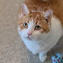 Thumbnail photo of Ida #3