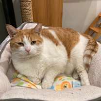 Thumbnail photo of Ida #4