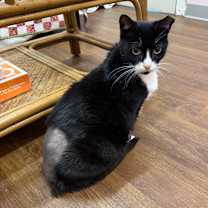 Thumbnail photo of Caz #2