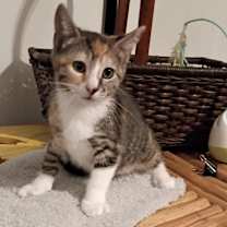 Thumbnail photo of Talia #3