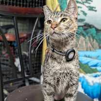 Thumbnail photo of Felicity #1