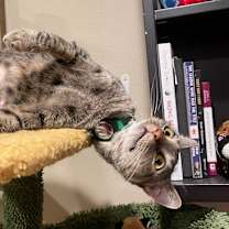 Thumbnail photo of Felicity #3