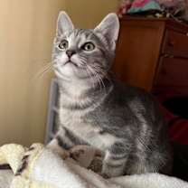 Thumbnail photo of Journey #3