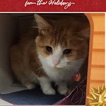 Thumbnail photo of Riley #1