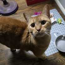 Thumbnail photo of Butterbean #2