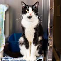 Thumbnail photo of Sleepy #1