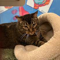 Thumbnail photo of Kiki #4