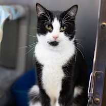 Thumbnail photo of Sleepy #3