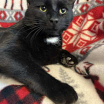 Thumbnail photo of Torin #3