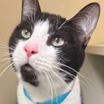 Thumbnail photo of Marcus #1