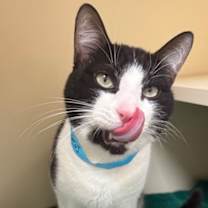 Thumbnail photo of Marcus #2