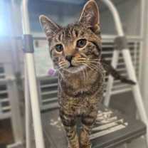 Thumbnail photo of Banner #1